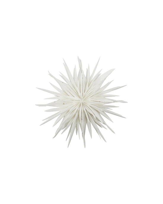 Star, HDDust, Off-white