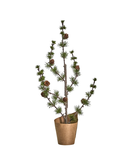 Weihnachtsbaum, HDStay, Grün