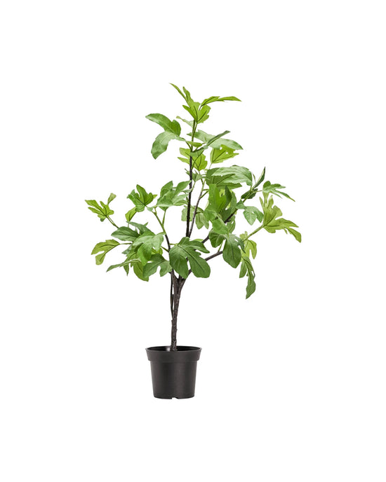 Kunstig plante, HDFig, Green