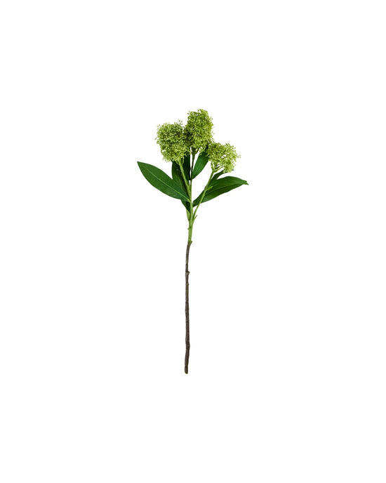 Artificial flower, HDSkimmia, Grøn