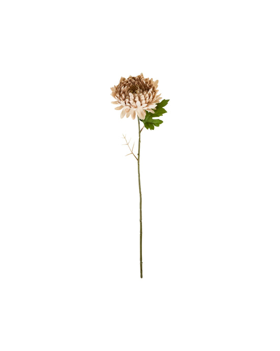 Artificial flower, HDChrysanthemum, Støvet rose