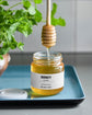 Honey Acacia