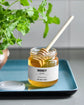 Honey Acacia