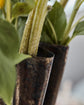 Vase, HDFlood, Antik brun