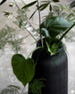 Vase, HDGroove, Sort
