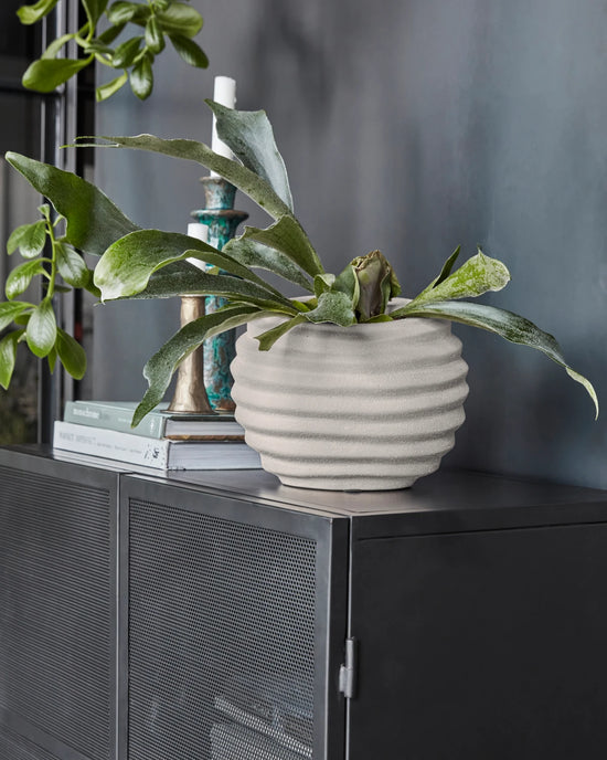 Urtepotte, HDHapp, Råhvid