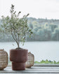 Blumentopf, HDTerra, Antikes Braun
