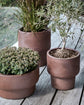 Urtepotte, HDTerra, Antik brun