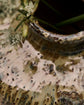 Vase, HDBodi, Brun