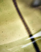 Bordlampe, HDMatte, Grøn/Hvid