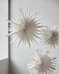 Star, HDDust, Off-white