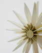 Weihnachtsschmuck, HDStari, Off-White, Champagner
