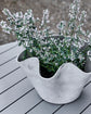 Planter, HDVaso, Grey