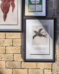 Wall art, HDFly, Sort