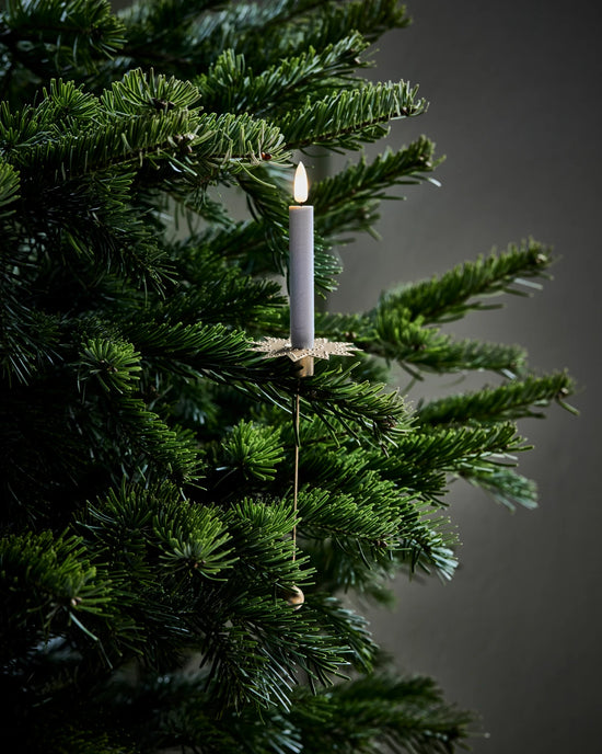 Weihnachtsbeleuchtung m. Fernbedienung, HDLED, Weiß