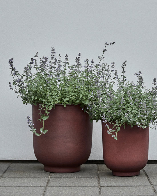 Blumenkasten, Vig, Verbranntes Henna