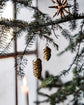Ornamente, HDCone, Gold