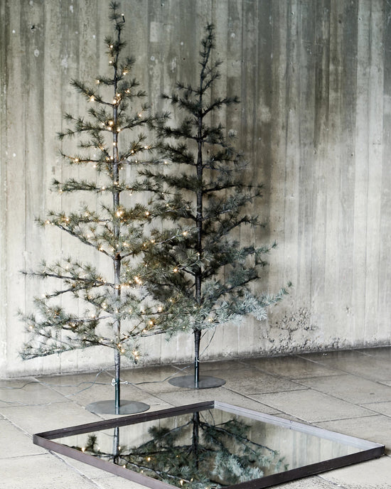 Weihnachtsbaum, Natur