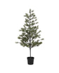Christmas tree, HDPeuce, Nature