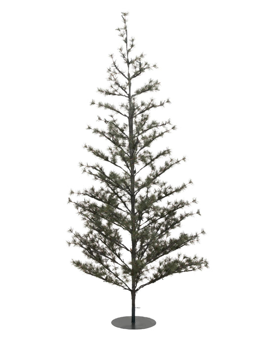 Weihnachtsbaum, Pin, Natur