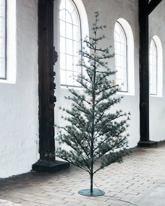 Weihnachtsbaum, Pin, Natur