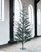 Weihnachtsbaum, Pin, Natur