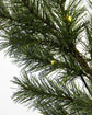 Girlande, HDPeuce, Natur