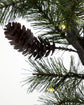 Weihnachtszweig m. LED, HDPeuce, Natur