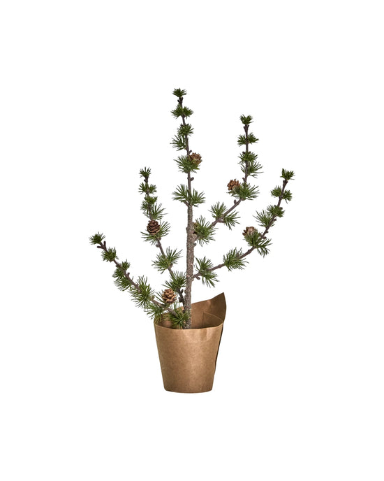 Weihnachtsbaum, HDStay, Grün