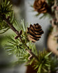 Weihnachtsbaum, HDStay, Grün