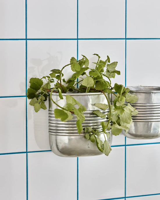 Plante, HDGroove, Antik sølvfinish