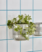 Plante, HDGroove, Antik sølvfinish
