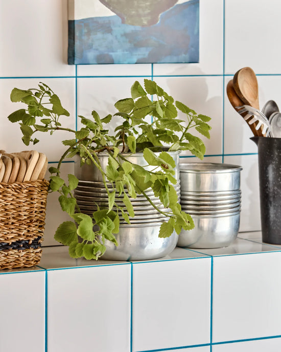 Plante, HDGroove, Antik sølvfinish