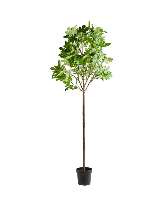 Kunstig plante, HDFig, Green
