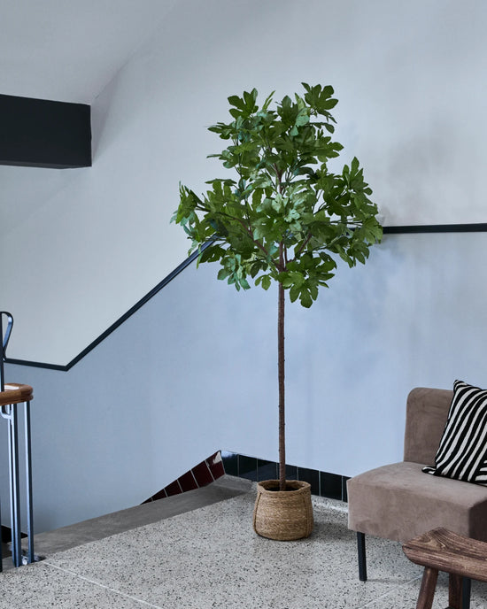 Kunstig plante, HDFig, Green