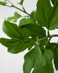 Kunstig plante, HDFig, Green