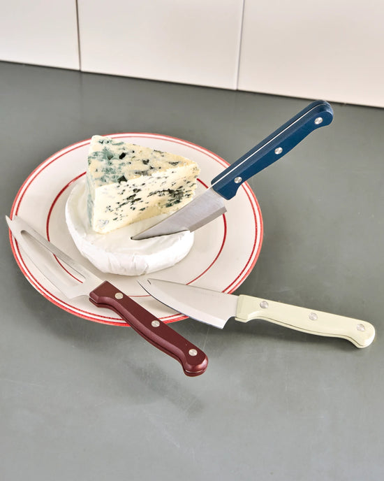 Cheese knives, NVTool, White, Blue, Red