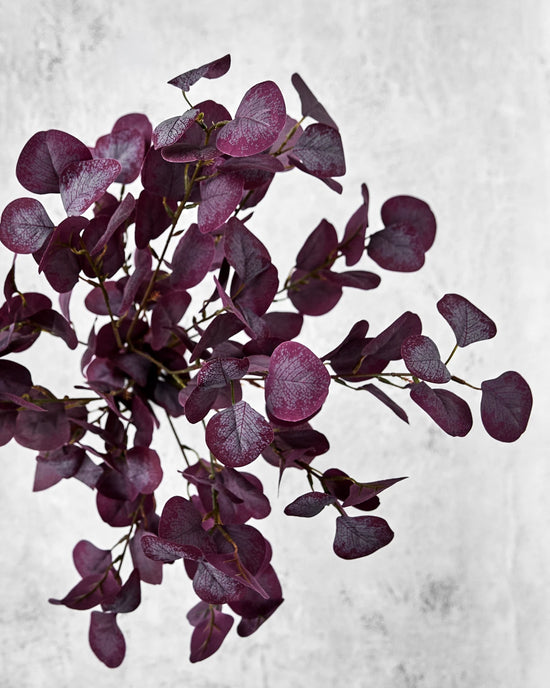Artificial branch, HDEucalyptus, Bordeaux