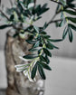 Artificial branch, HDOlive, Green