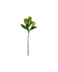 Artificial flower, HDSkimmia, Grøn