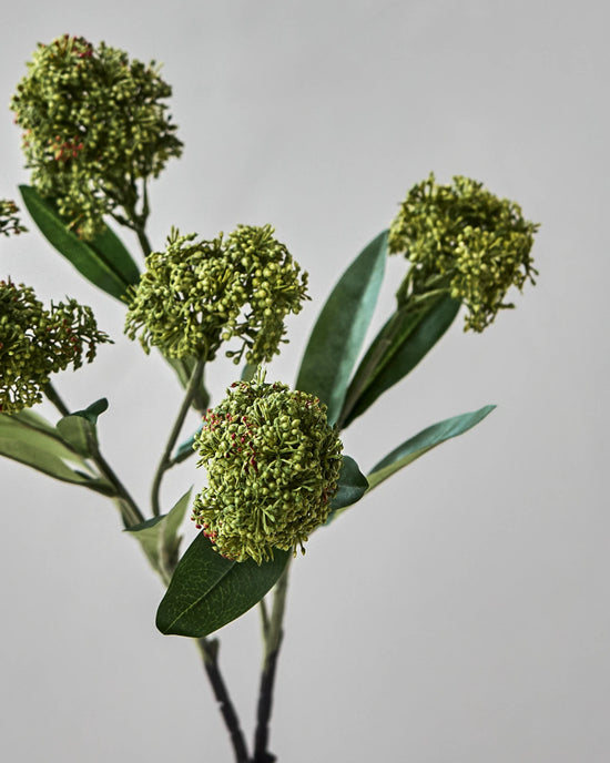 Artificial flower, HDSkimmia, Grøn