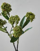 Artificial flower, HDSkimmia, Grøn