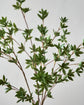 Artificial branch, HDJaponica, Grøn