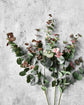 Artificial branch, HDEucalyptus, Grøn