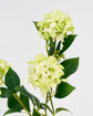 Artificial flower, HDViburnum, Grøn