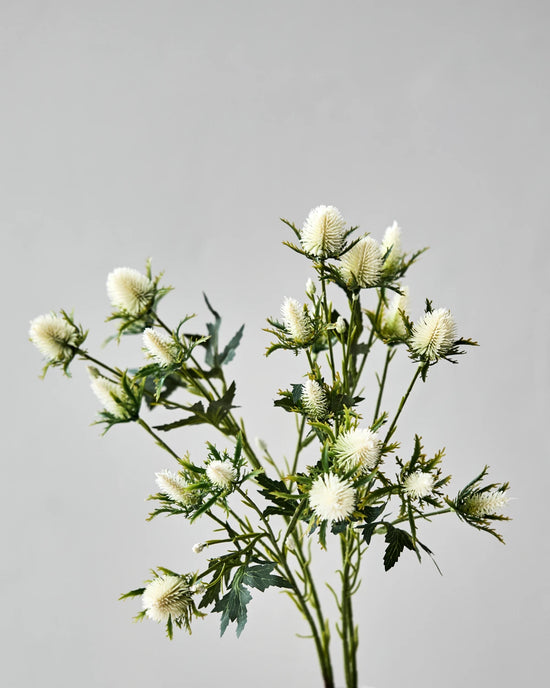 Artificial flower, HDEryngium, Hvid
