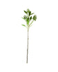 Artificial branch, HDLigustrum, Grøn