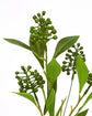 Artificial branch, HDLigustrum, Grøn