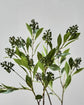Artificial branch, HDLigustrum, Grøn