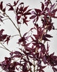 Artificial branch, HDMaple, Bordeaux